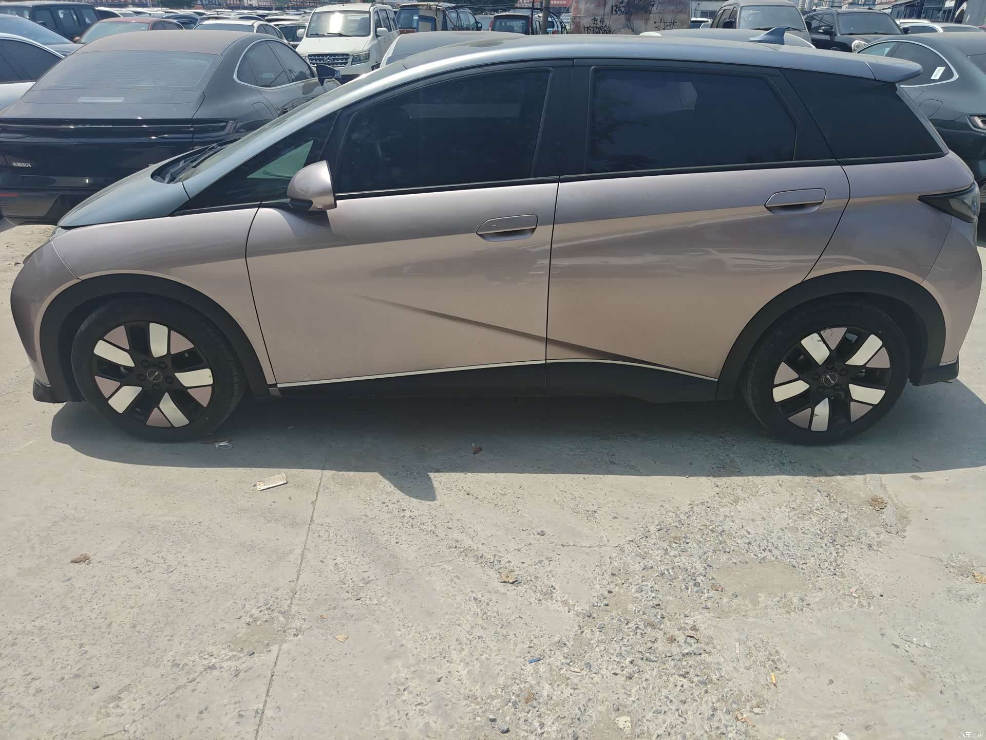 BYD Dolphin, 2022 3