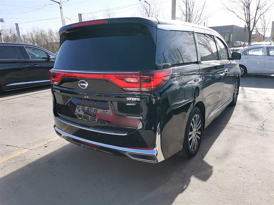 Trumpchi Trumpchi M8