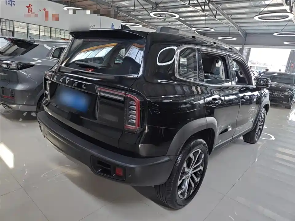 Haval Big dog