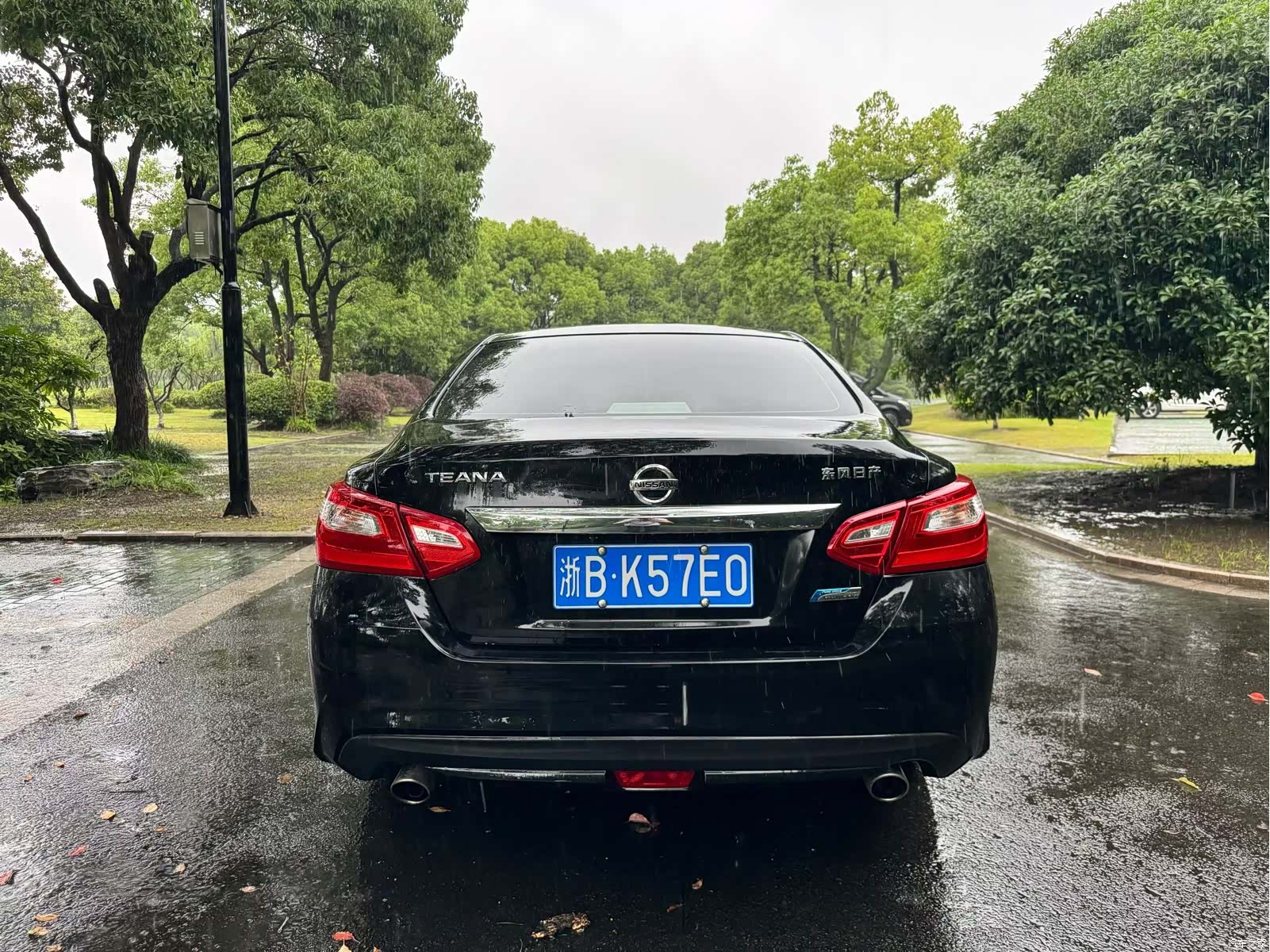Nissan Teana, 2018 все фото