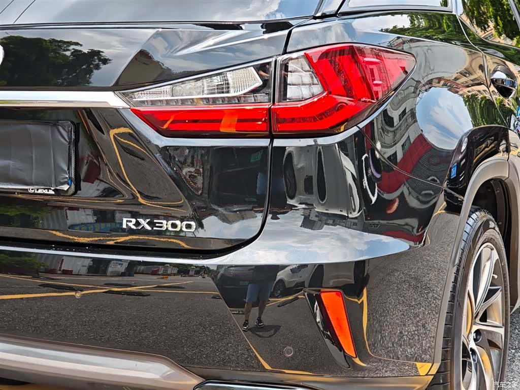 Lexus RX, 2018 10