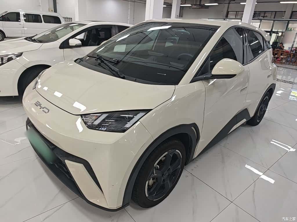 BYD Seagull, 2024 1