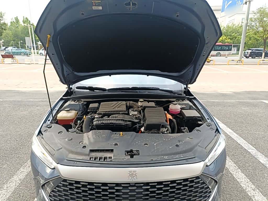 BYD Qin, 2024 20