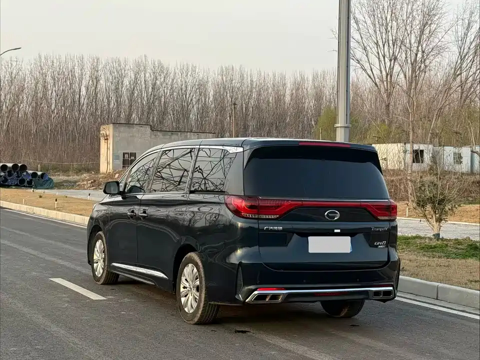 Trumpchi Trumpchi M8