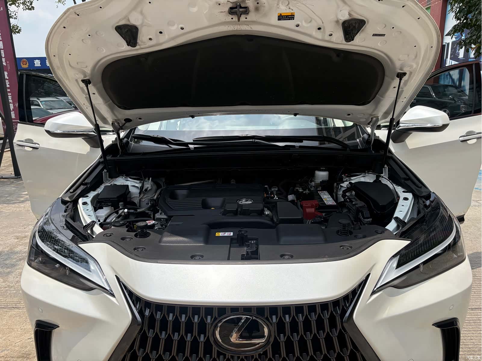 Lexus NX, 2023 19