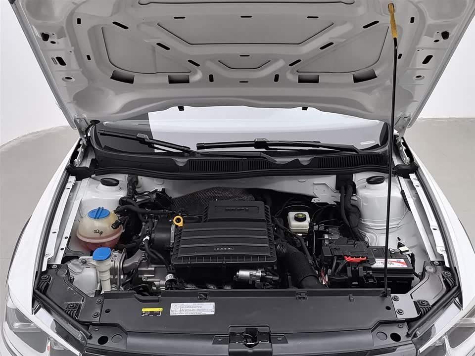 Volkswagen C-TREK Wei Collar