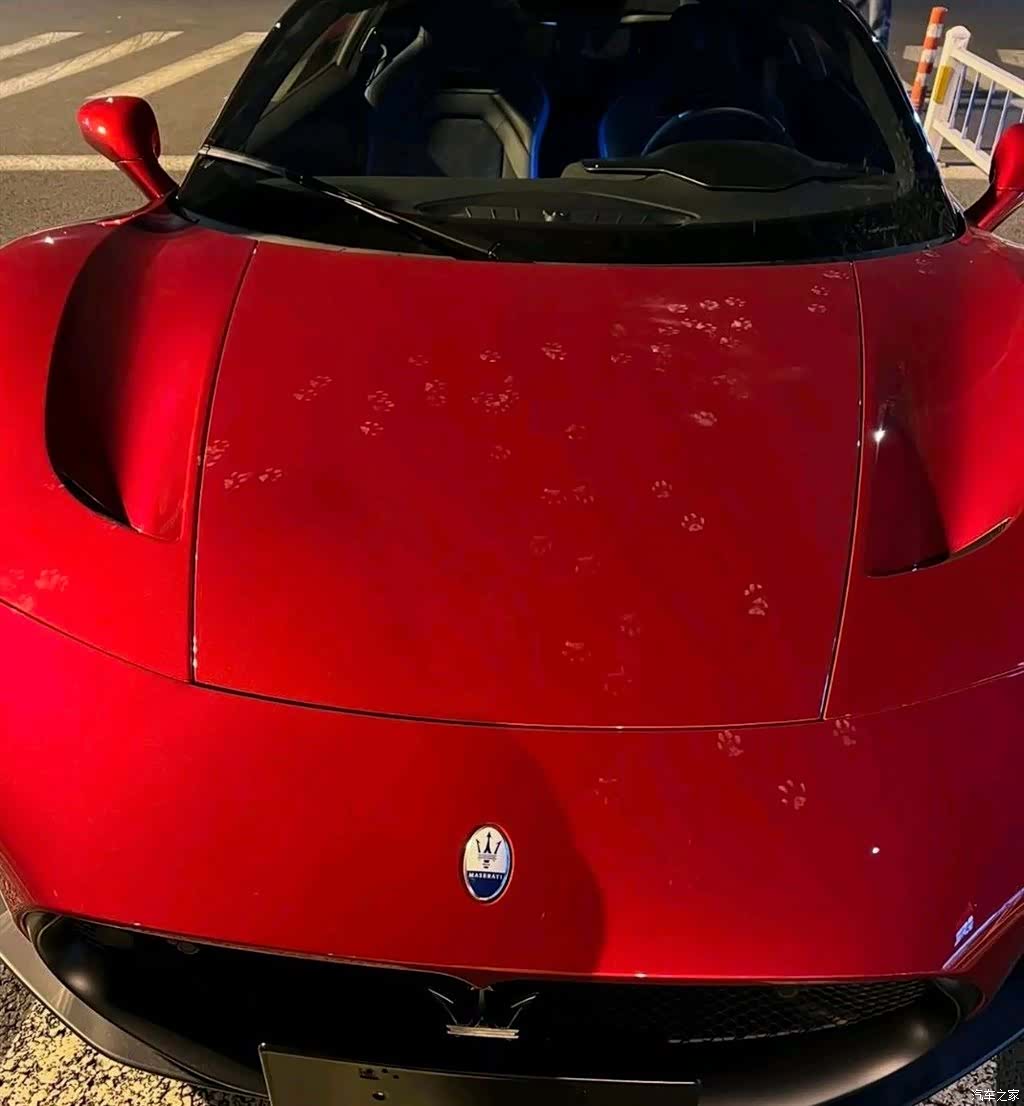 Maserati MC20, 2022 все фото
