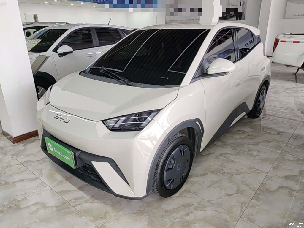 BYD Seagull, 2025 1