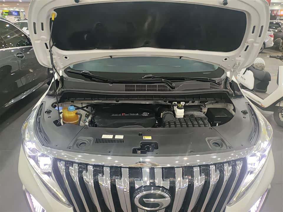 Trumpchi Trumpchi M8