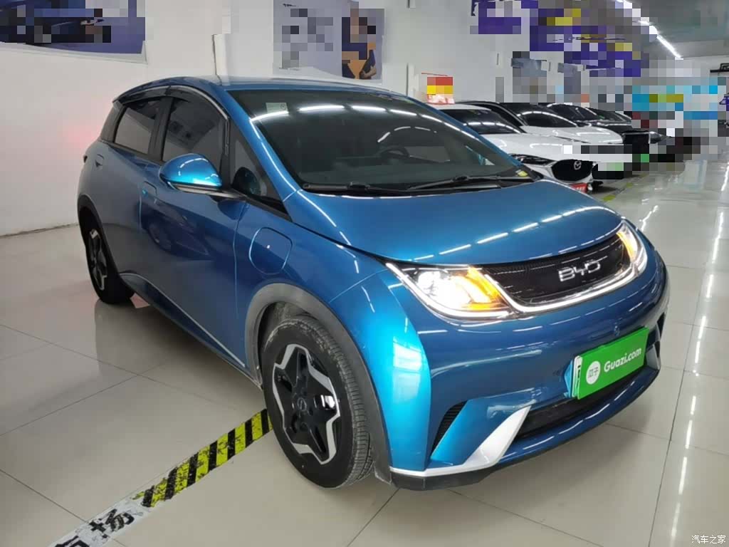 BYD Dolphin, 2022 4