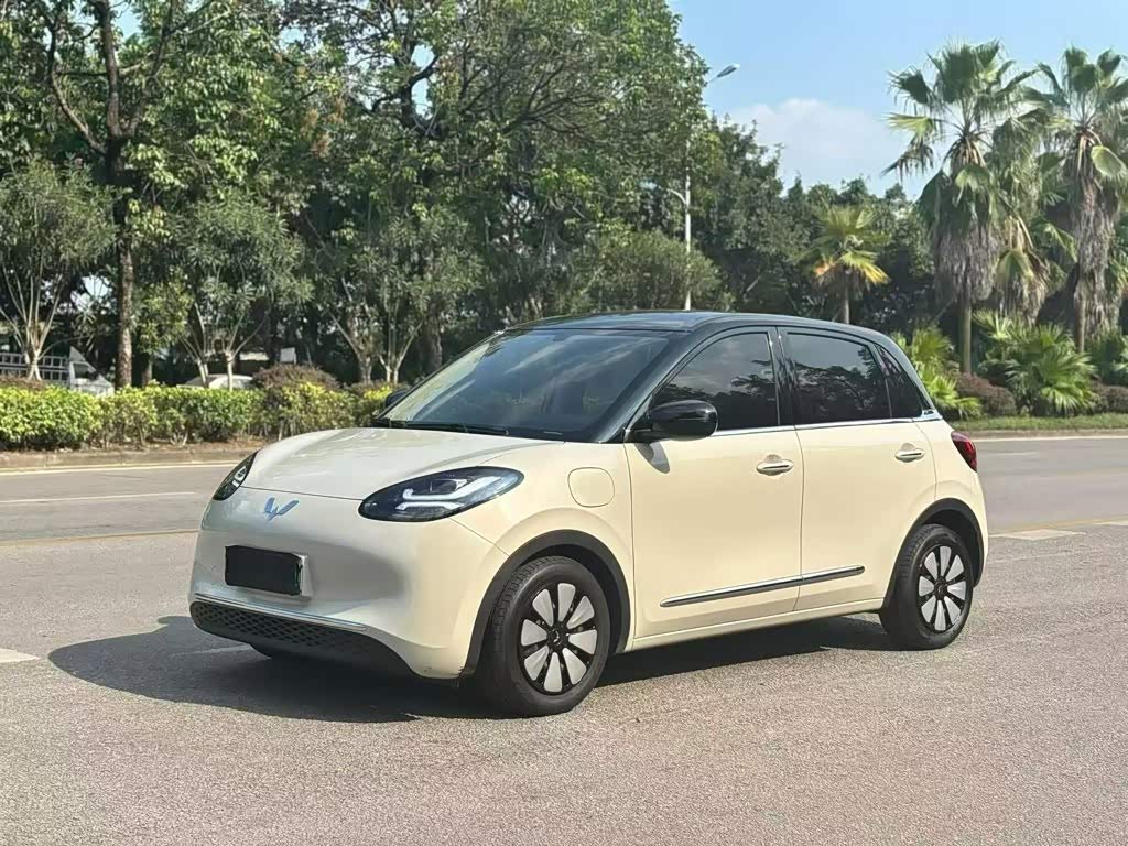 Wuling Binguo