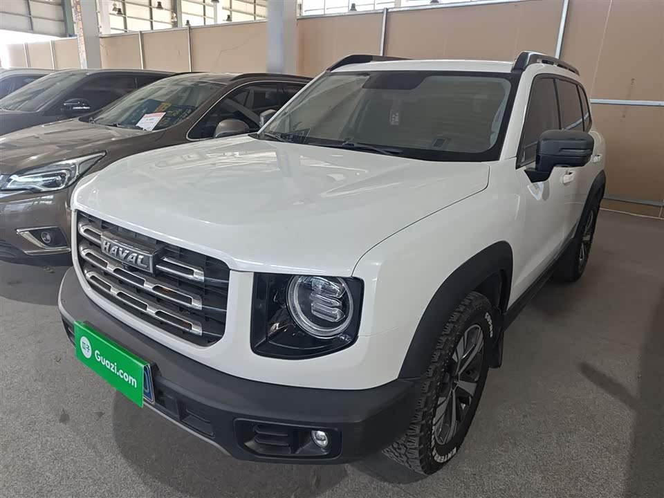 Haval Big dog
