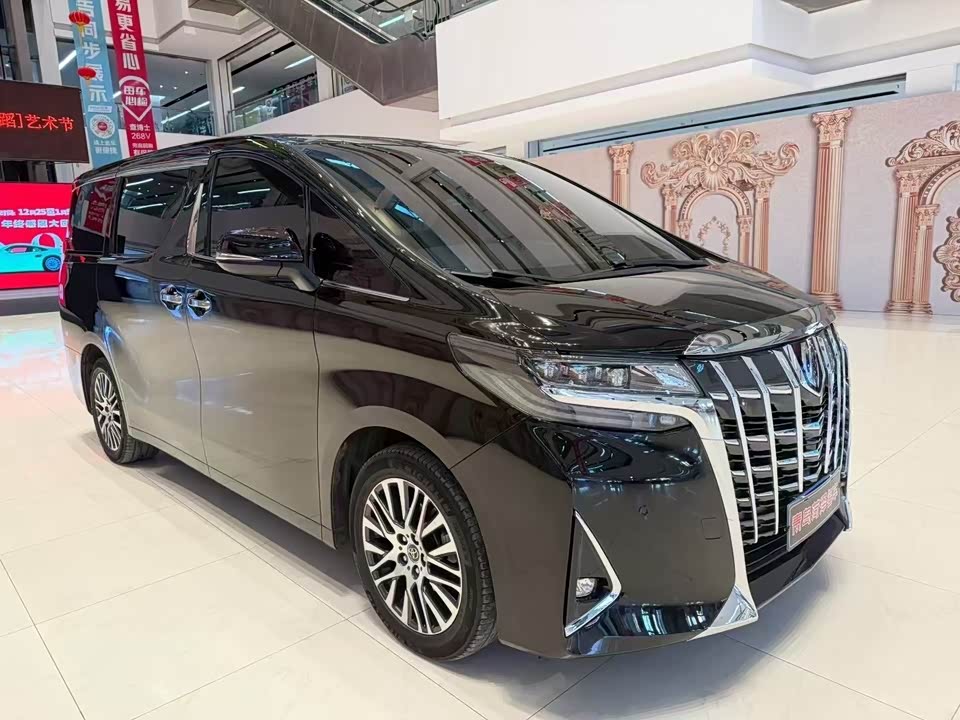 Toyota Elfa
