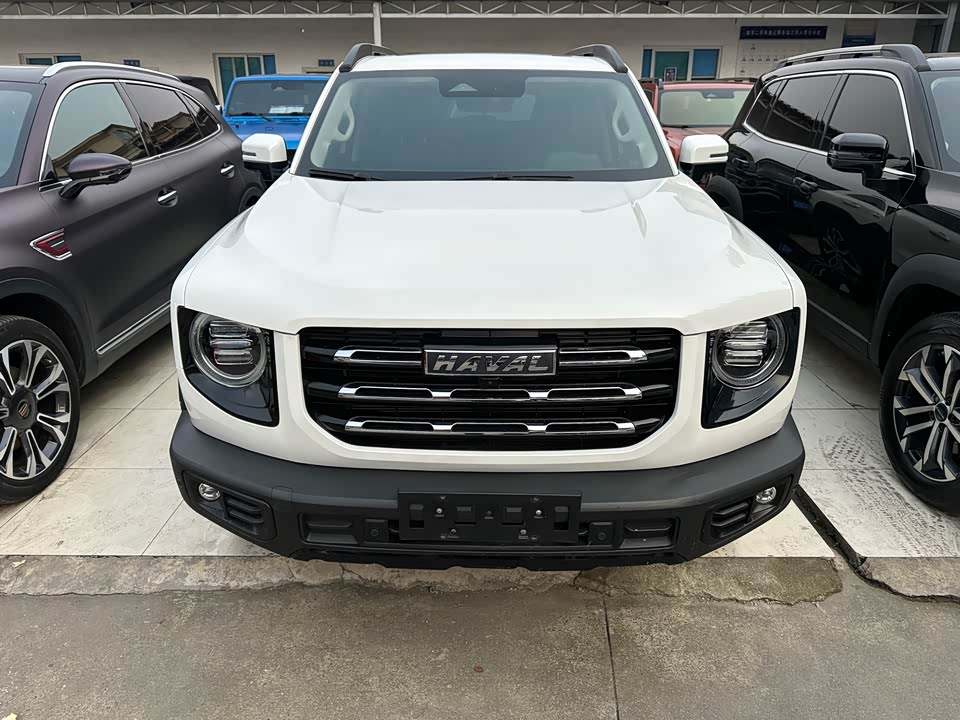 Haval Big dog