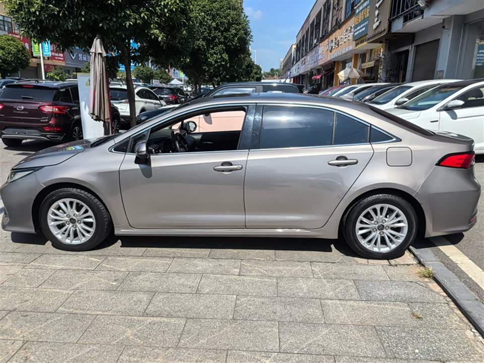 Toyota Asian lion