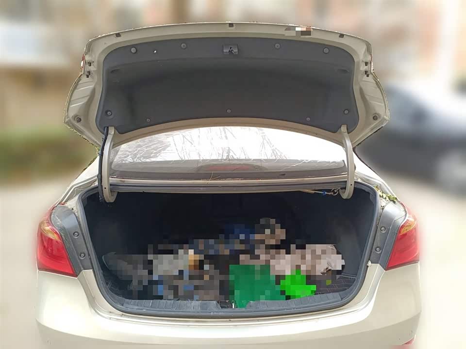 Hyundai Name picture