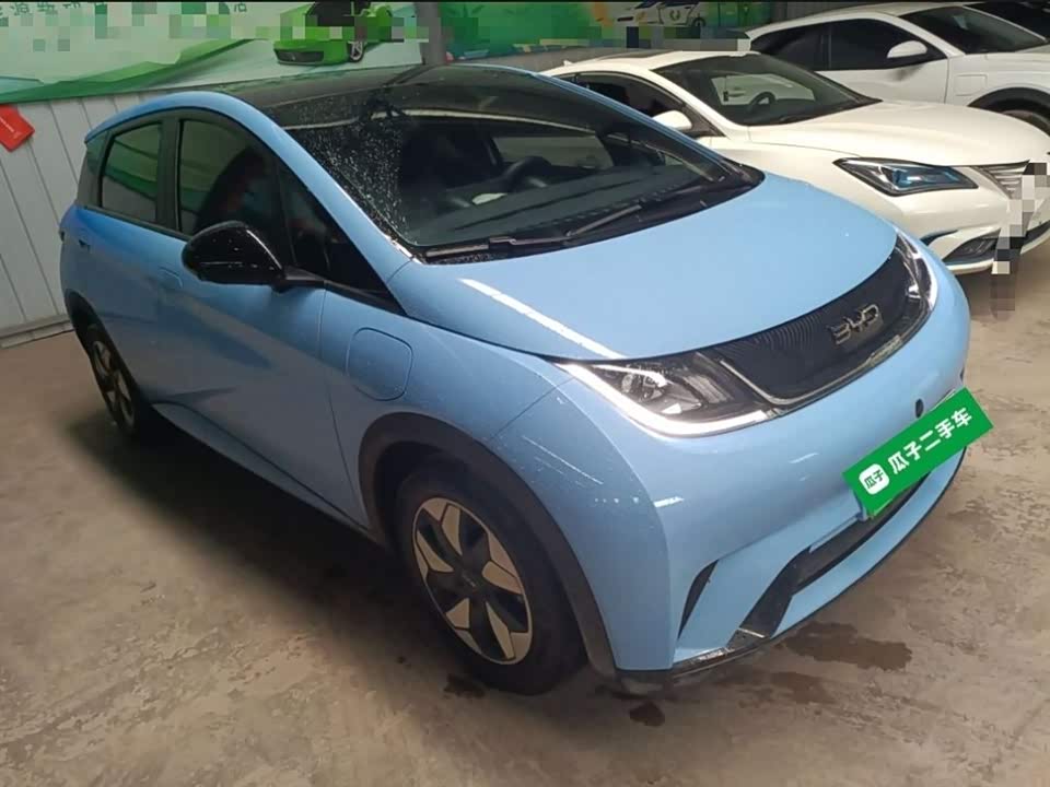 BYD dolphin