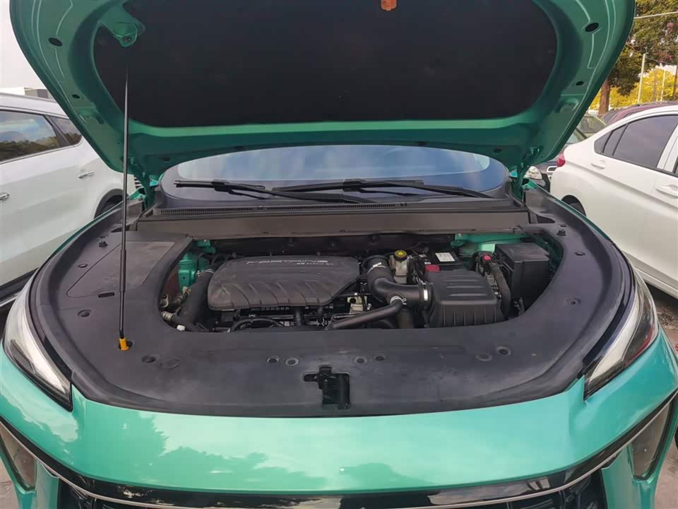 Forthing Popular T5 EVO