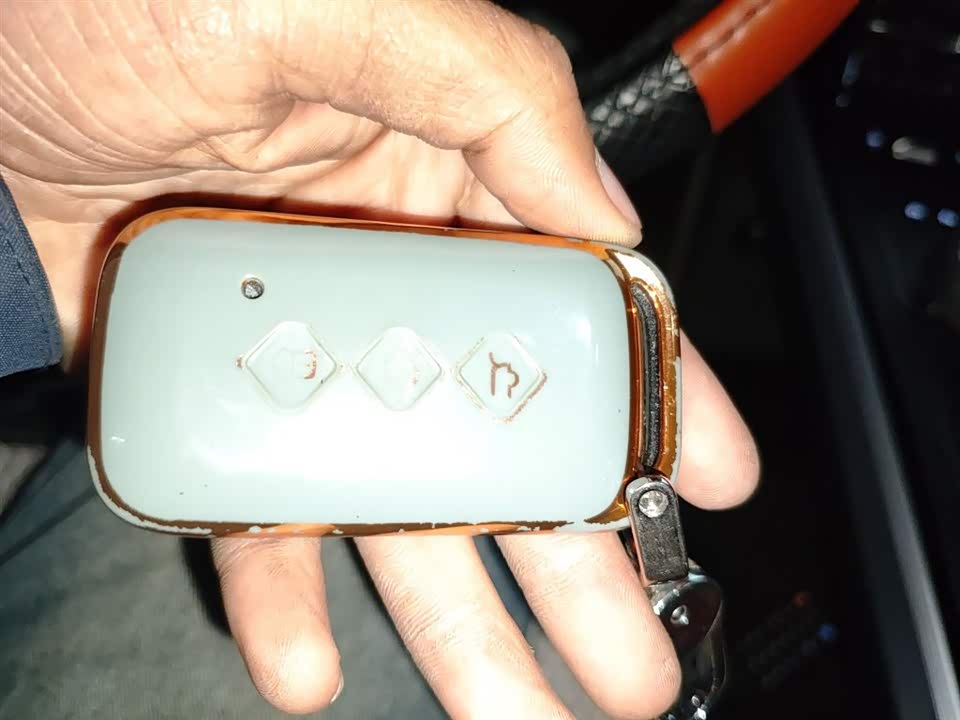 Wuling Wuling Starlight