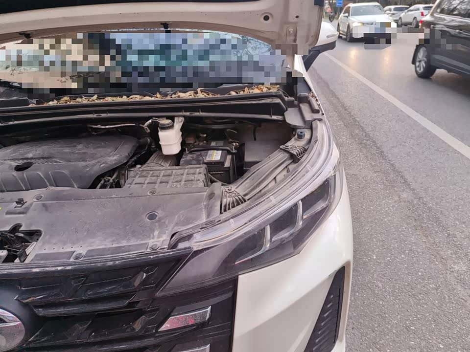 Trumpchi Trumpchi M6