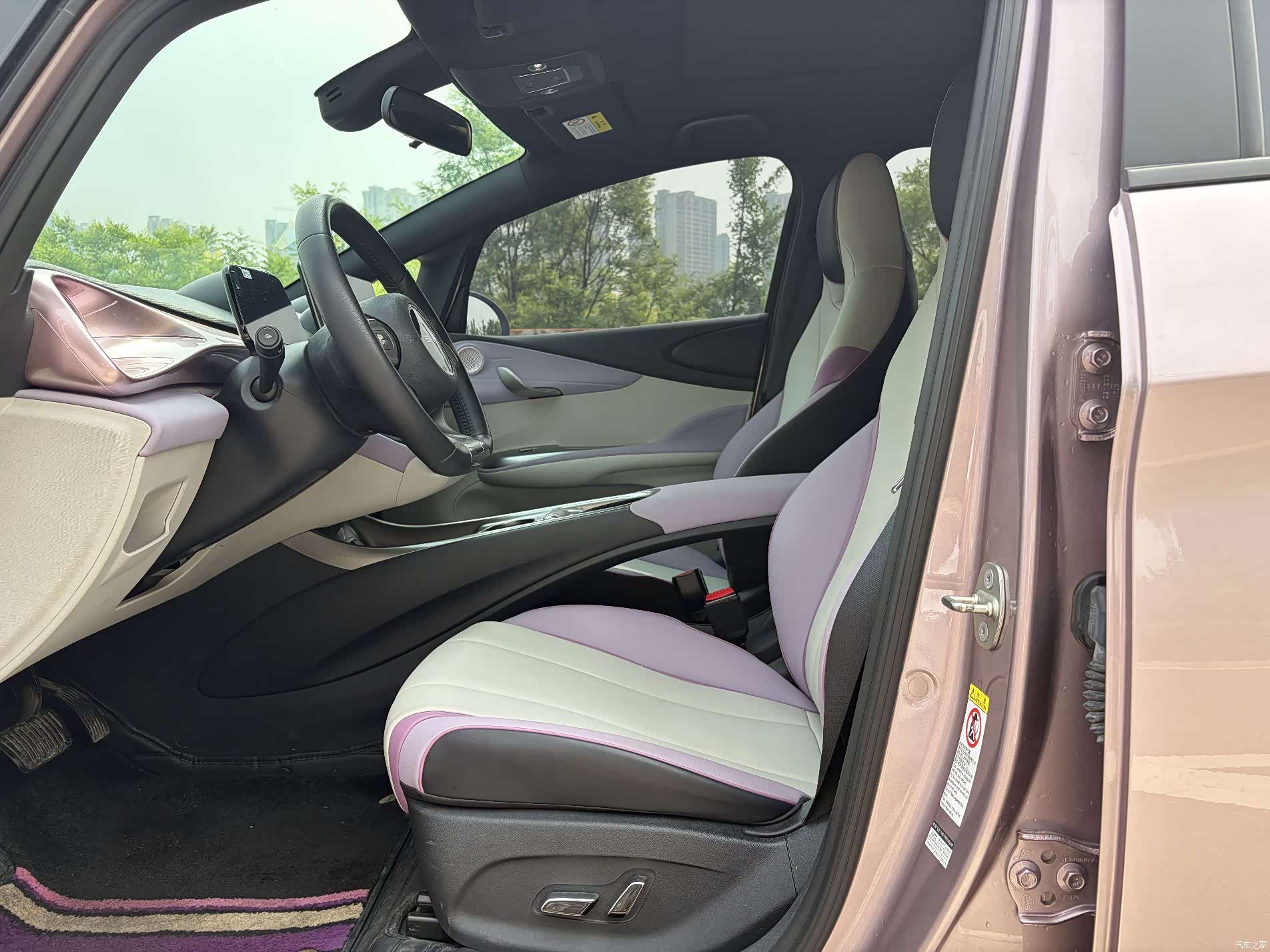 BYD Dolphin, 2023 4