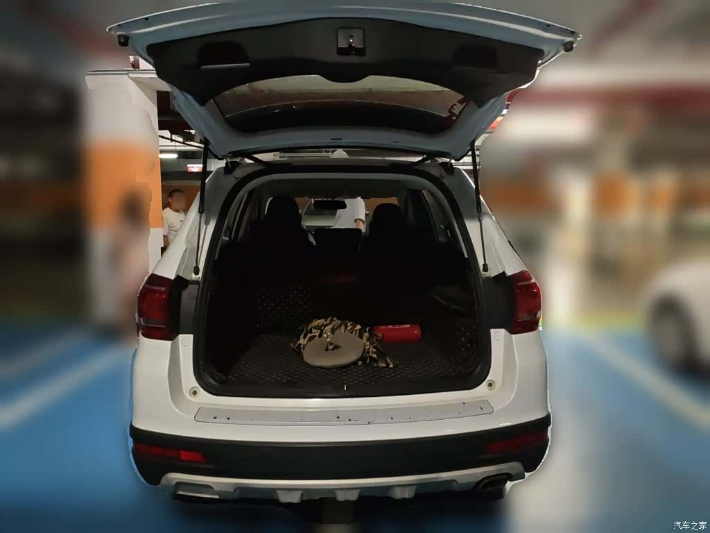 Haval H6, 2019 10