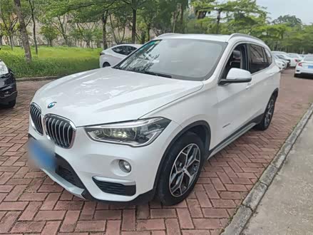 X1 2018 xDrive20Li 