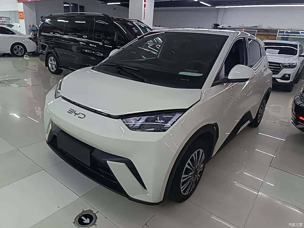 BYD Seagull, 2024 2
