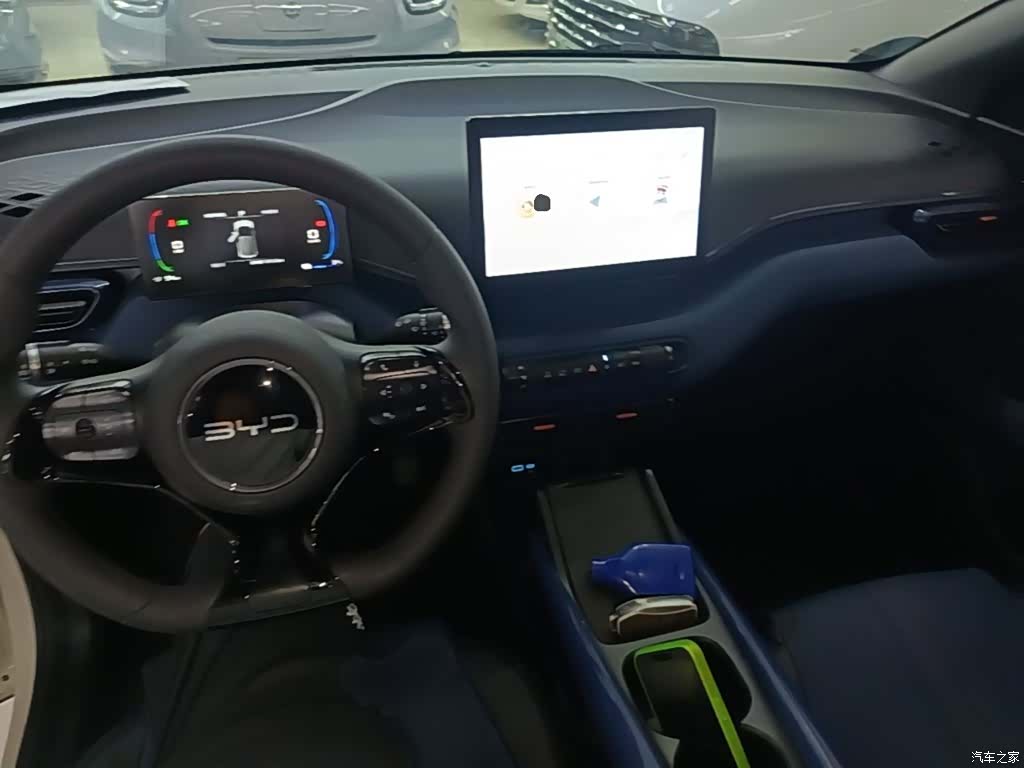 BYD Seagull, 2024 10