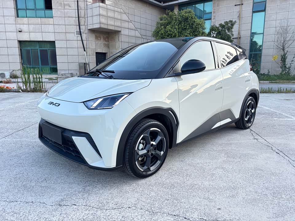 BYD Seagull