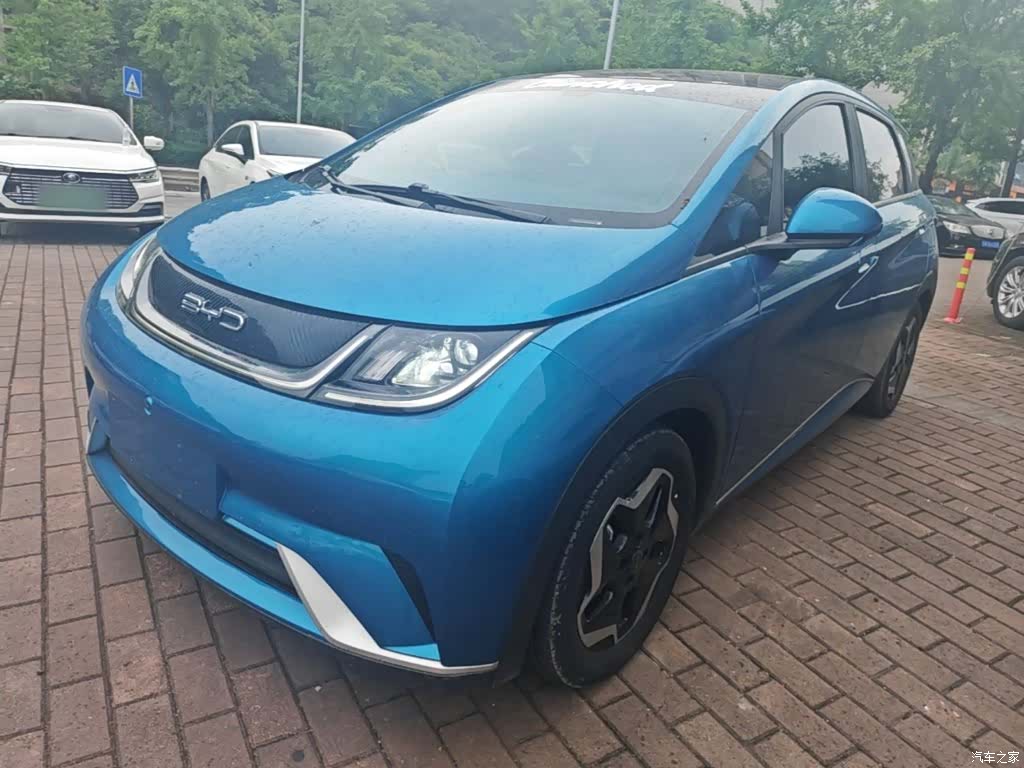 BYD Dolphin, 2022 2