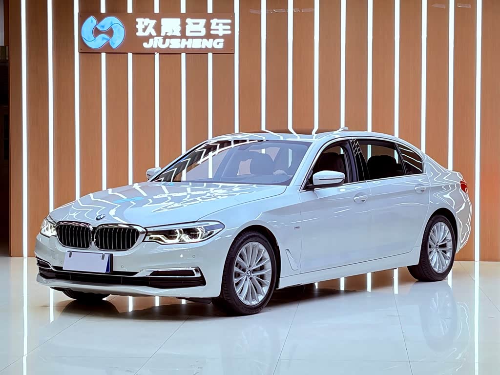 BMW 5 Series 5 2020 530Li Lead Luxury