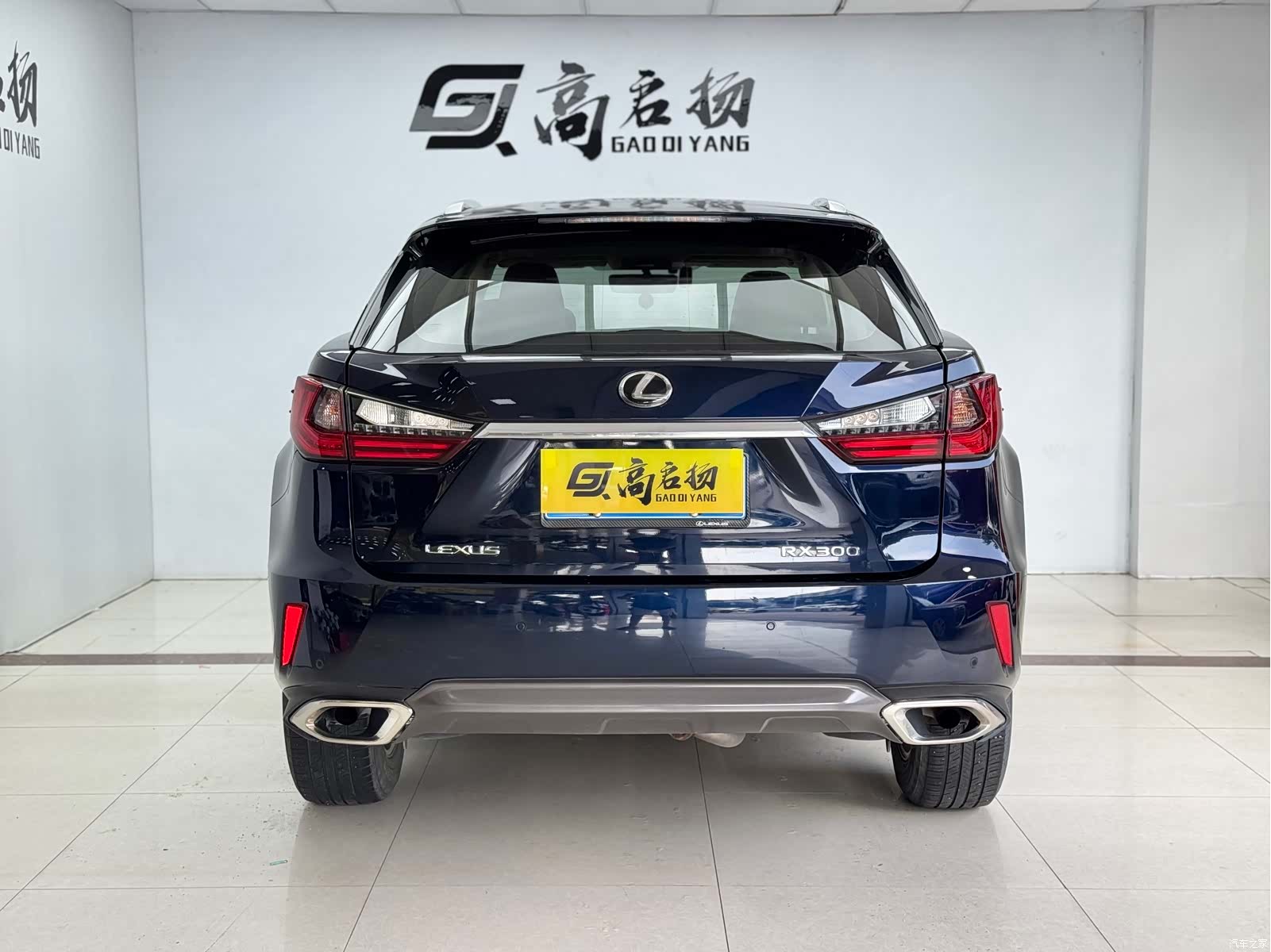 Lexus RX, 2017 26