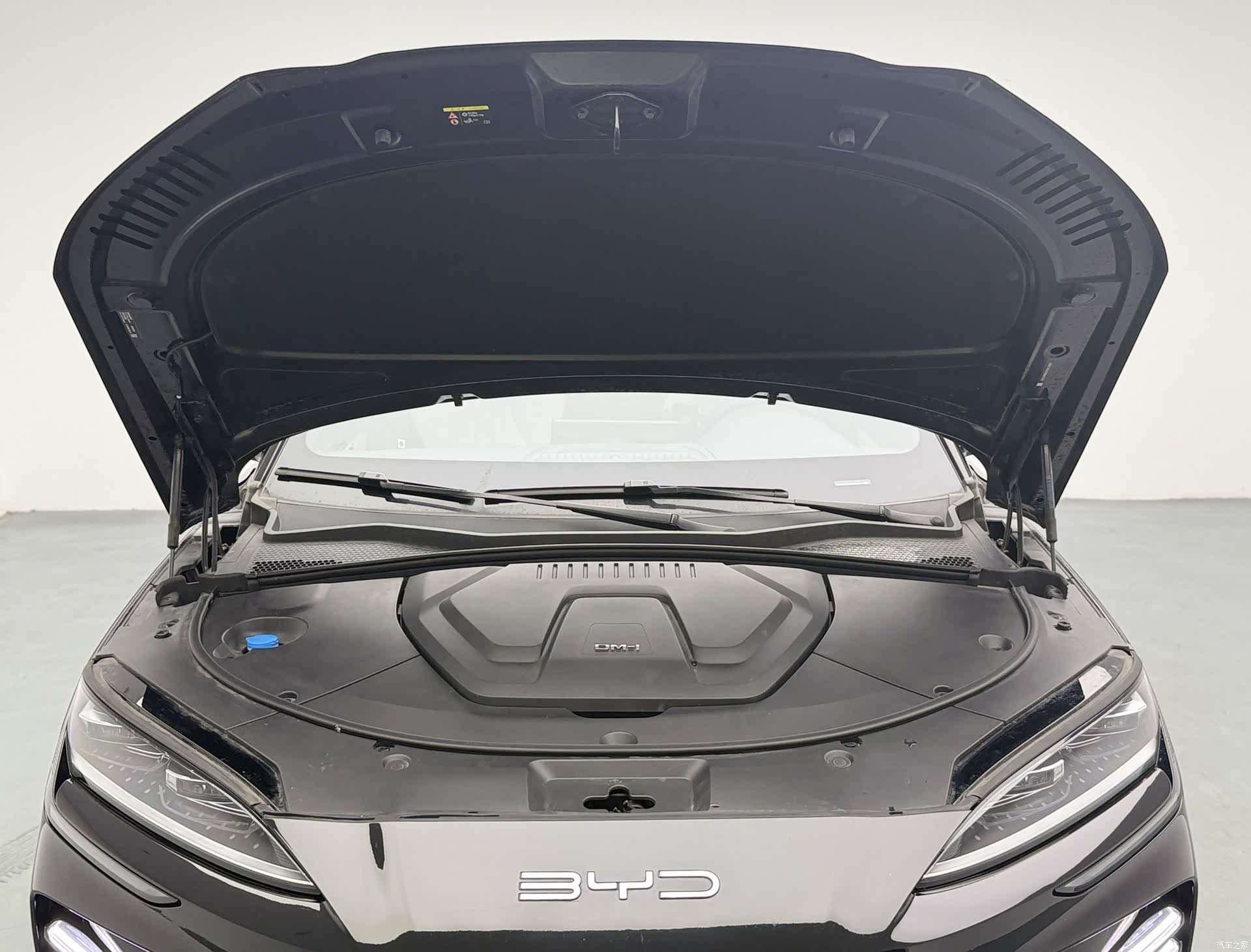 BYD Song, 2024 12