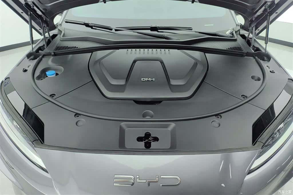 BYD Song, 2024 10
