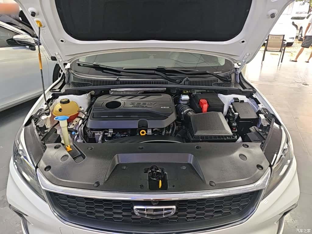 Geely Binray, 2021 20