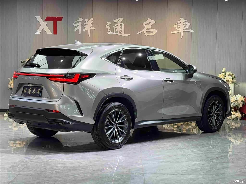 Lexus NX, 2023 23