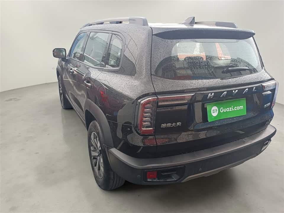 Haval Big dog