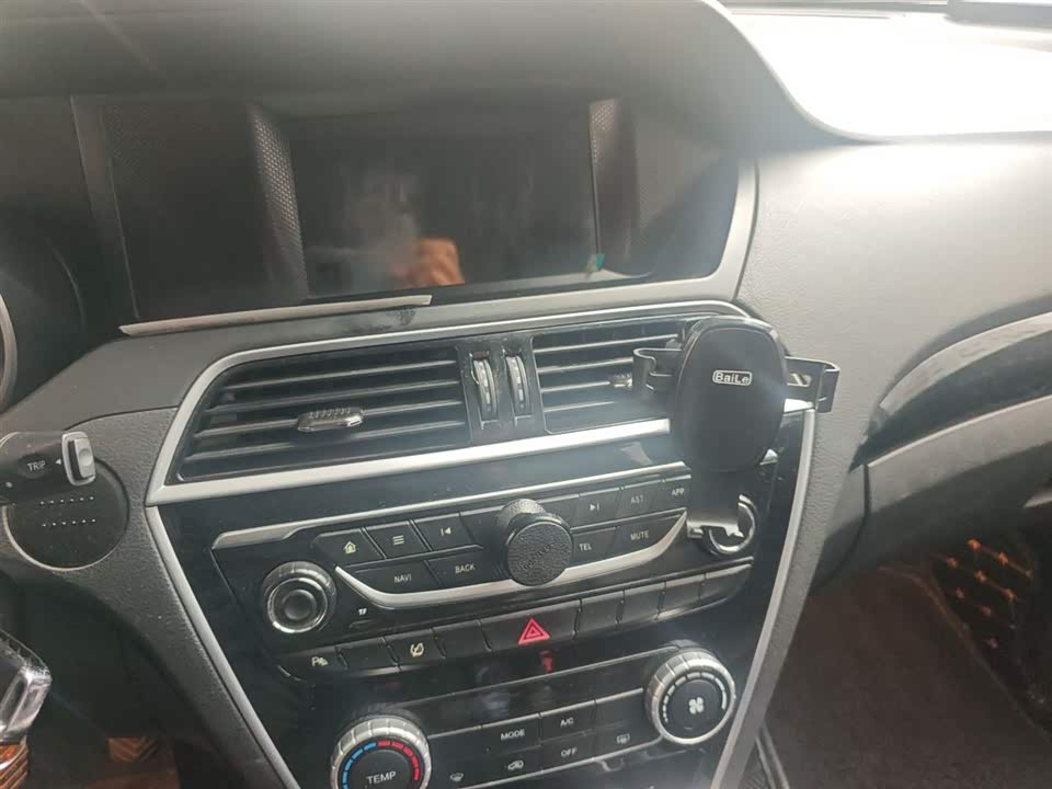 Leopaard Cheetah CS10