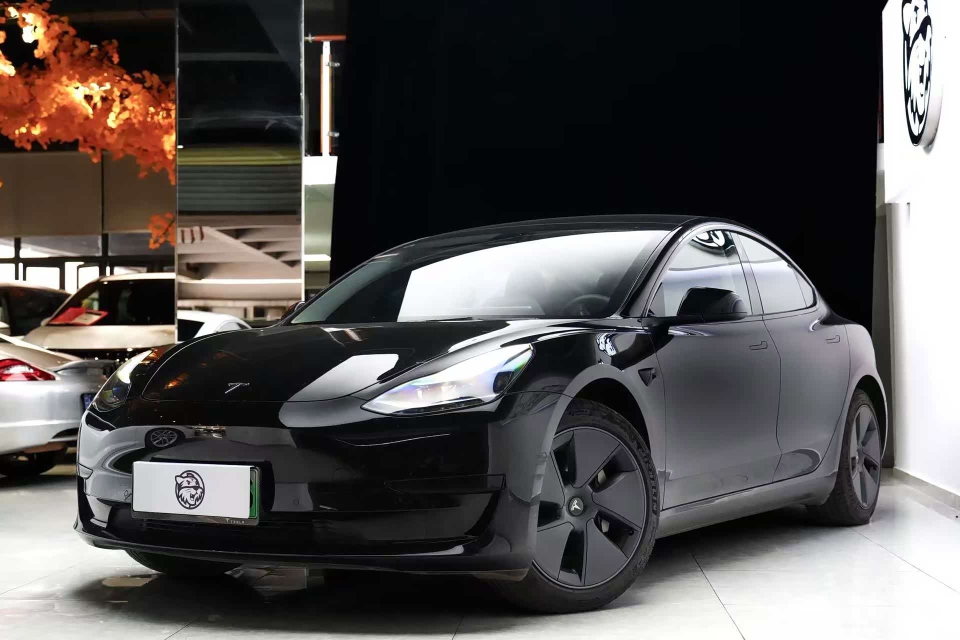 Tesla Model 3, 2023 1