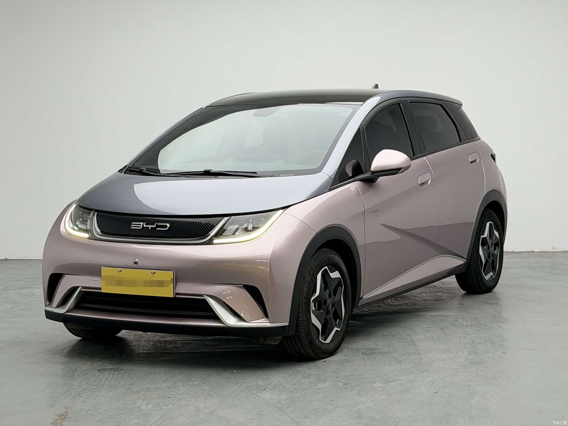 BYD Dolphin, 2022 1