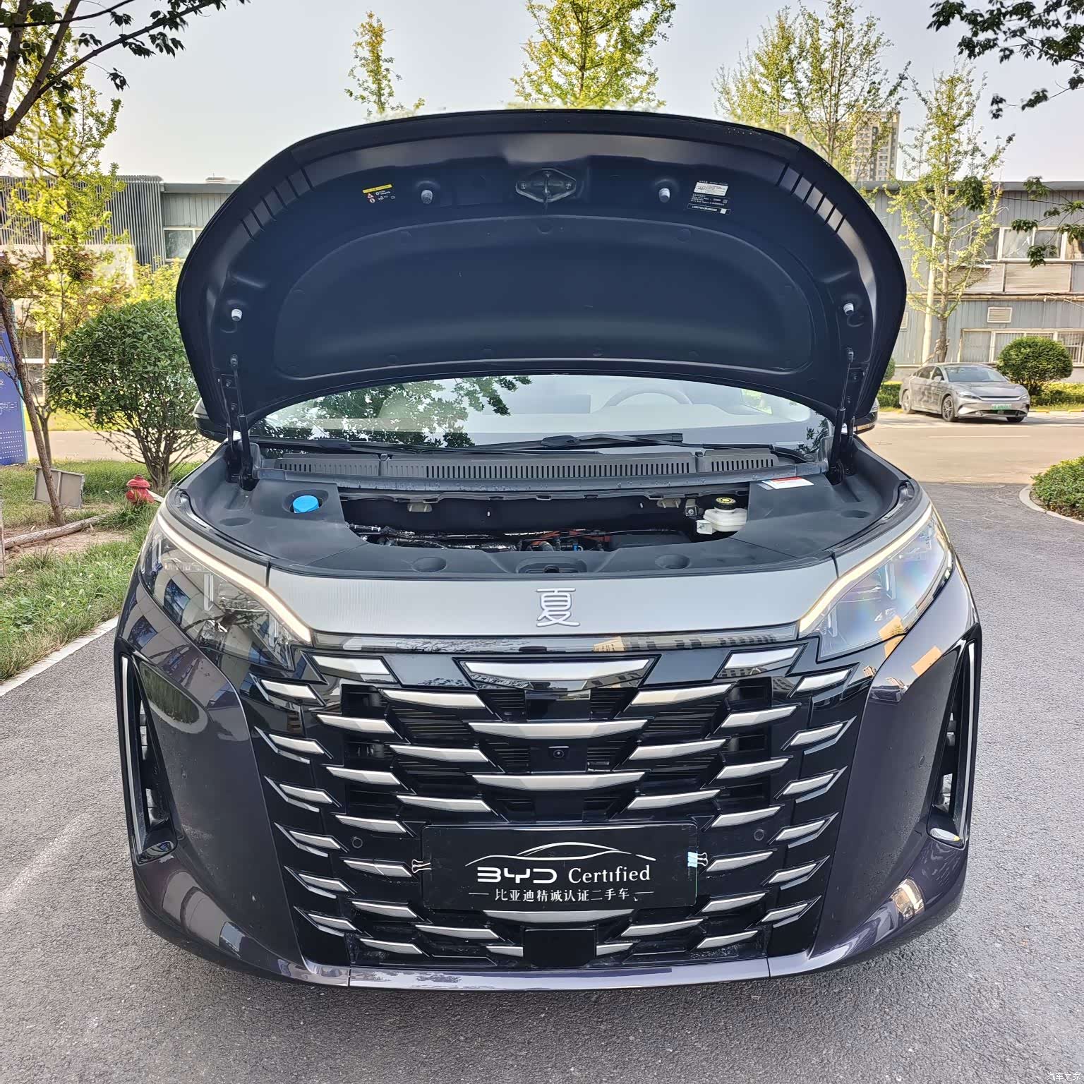 BYD Xia, 2025 2