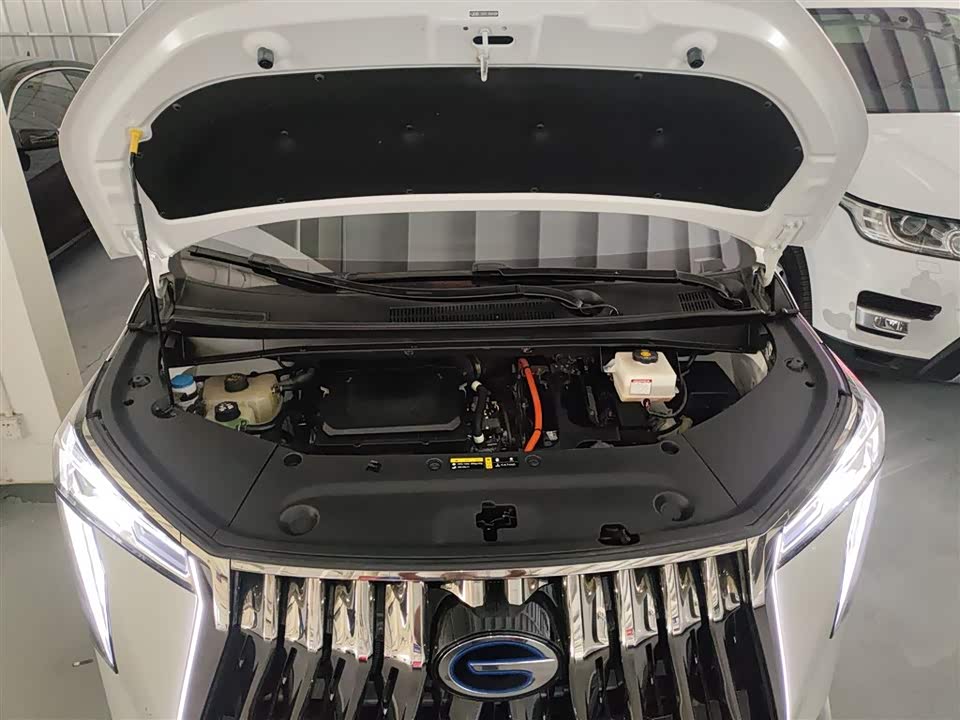 Trumpchi Trumpchi M8