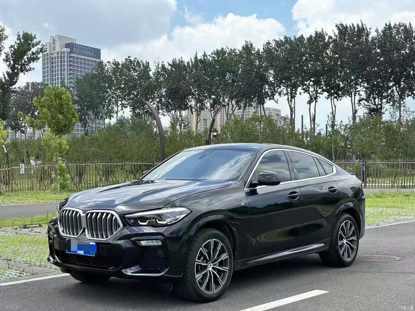 BMW X6, 2020 1