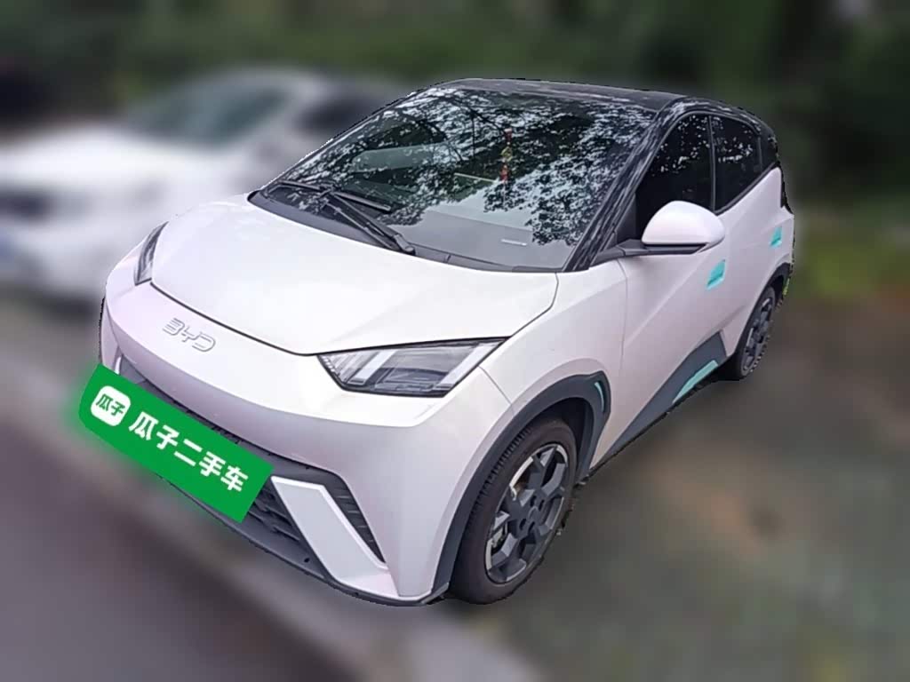 BYD Seagull