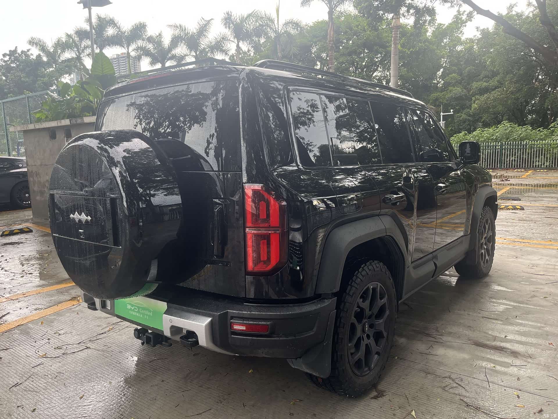 Fang Cheng Bao Bao 5, 2024 10