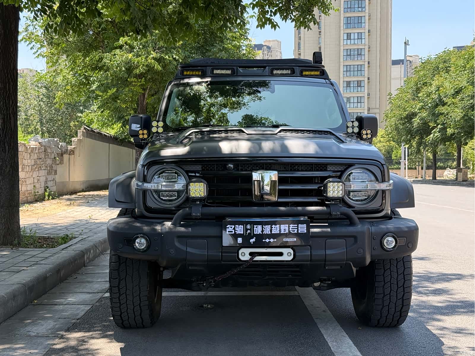 Tank 300, 2024 2