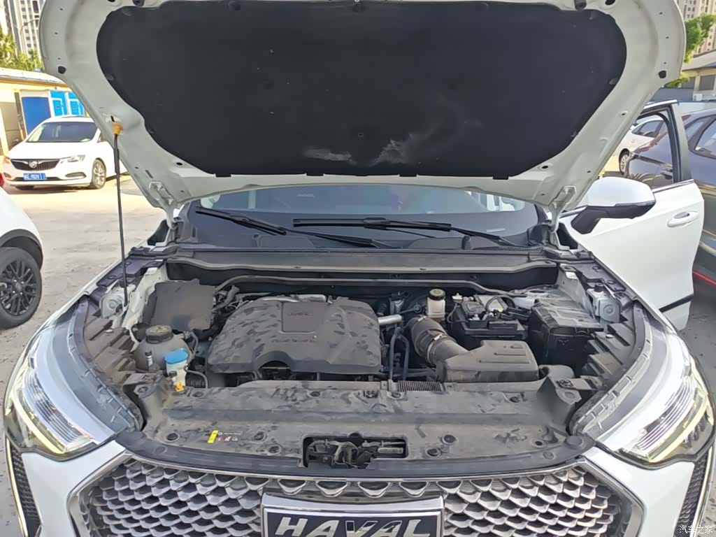 Haval First Love, 2021 20