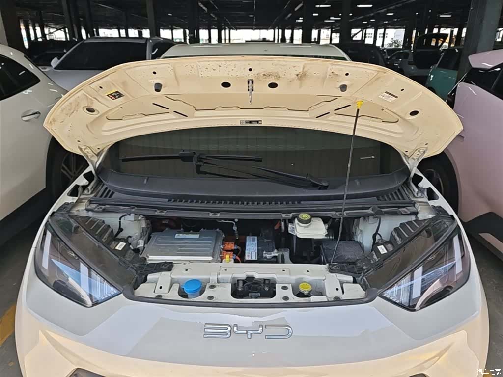 BYD Seagull, 2024 20