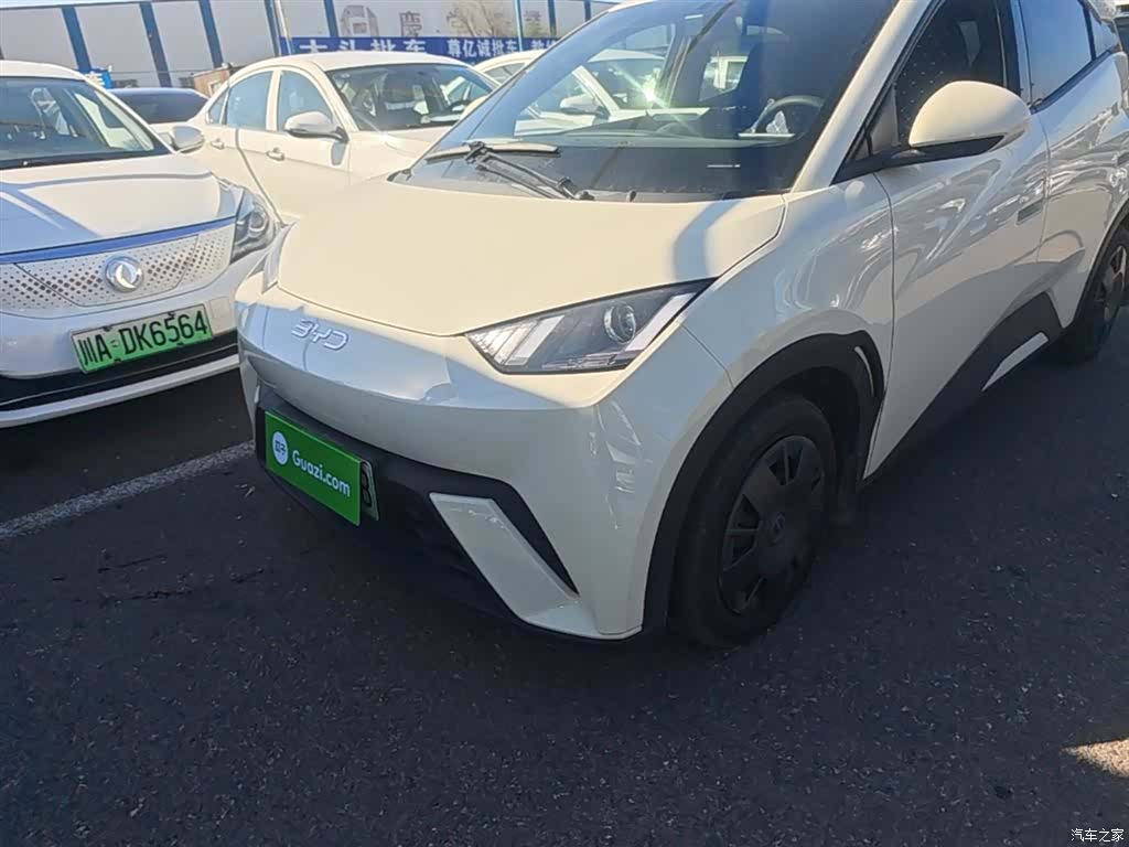 BYD Seagull, 2024 24
